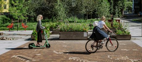 Sillutuskivid püüavad pilku väljakute, platside, aedade ja terrasside kujunduses ning sobivad kõnniteede ja sõiduteede sillutamiseks.