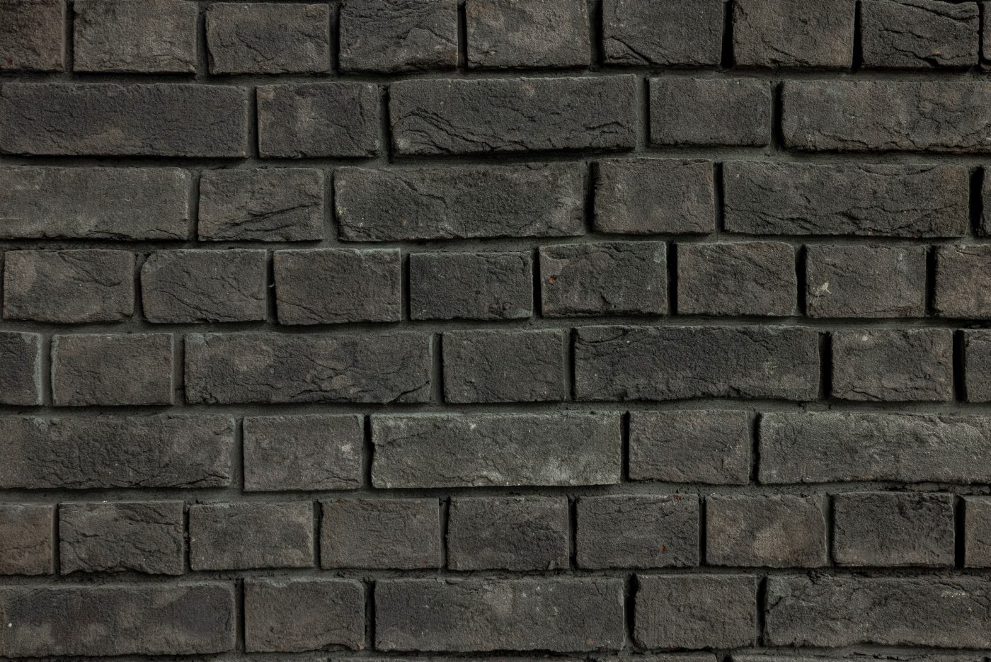 Yolo Squash interior