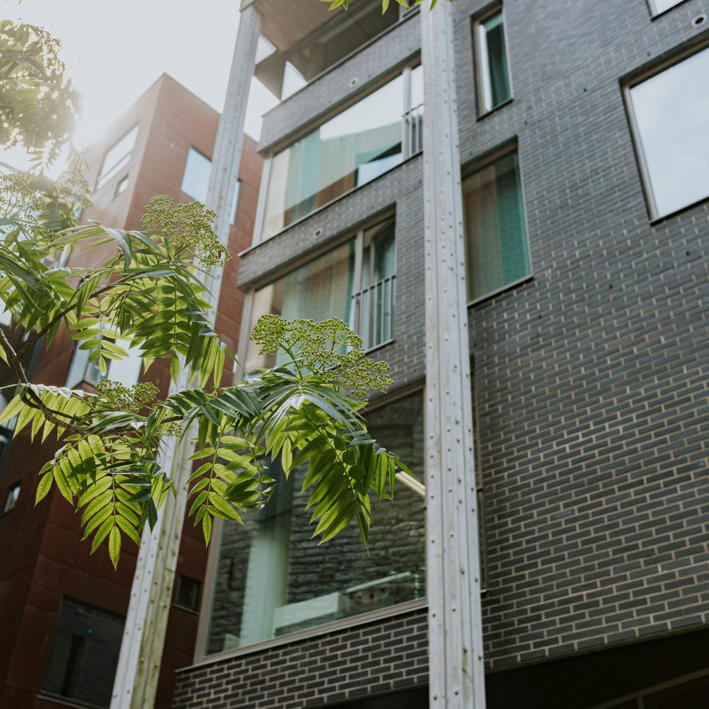 Black House in Rotermanni Quarter