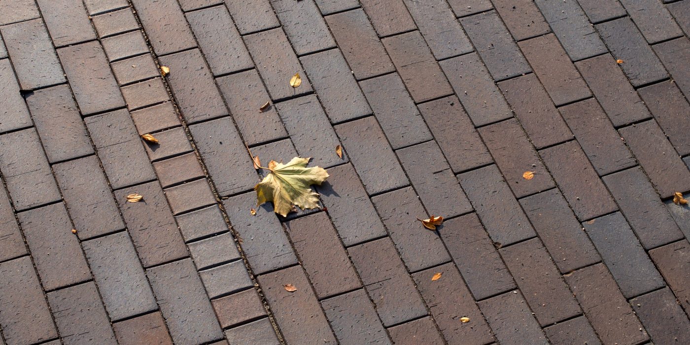 Novo Nordisk, Paver, Bretagne
