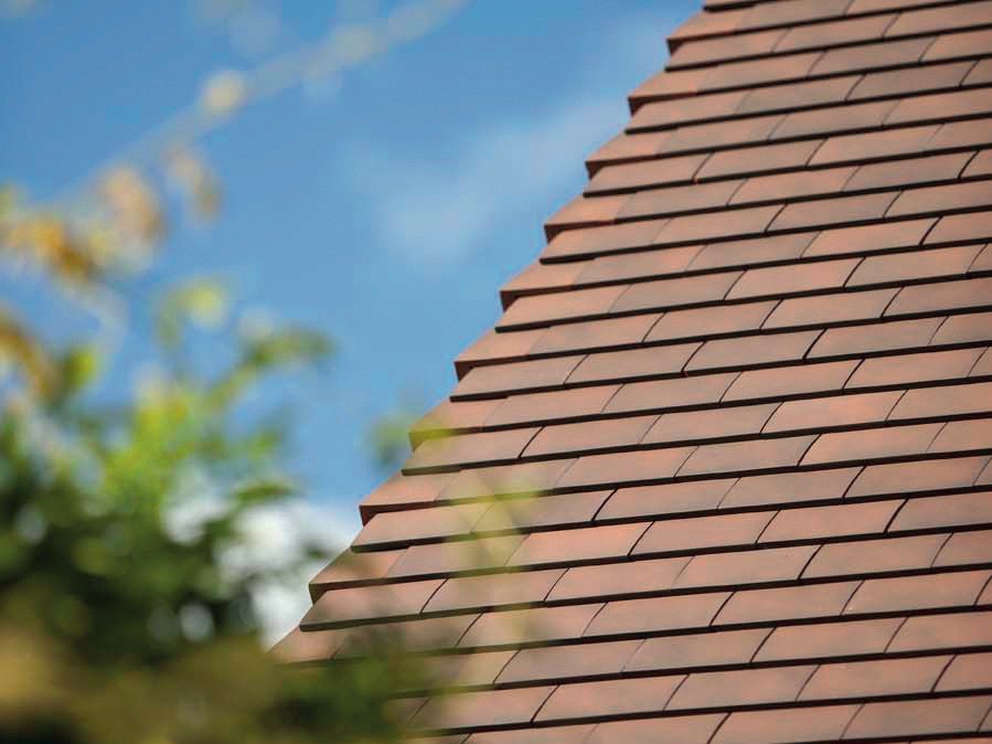 New construction single family in Sint-Amandsberg