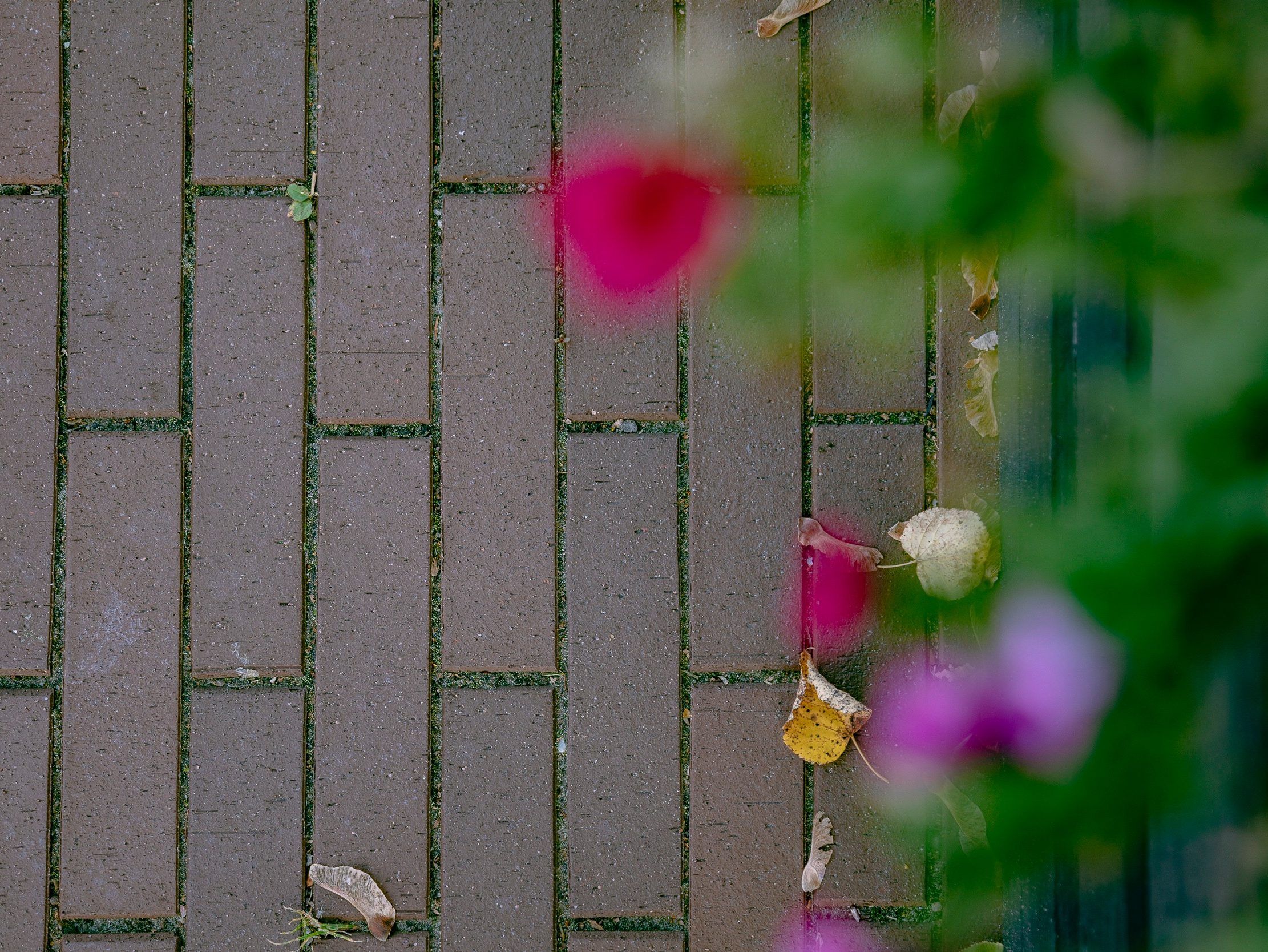 Penter klinkera bruģakmeņi