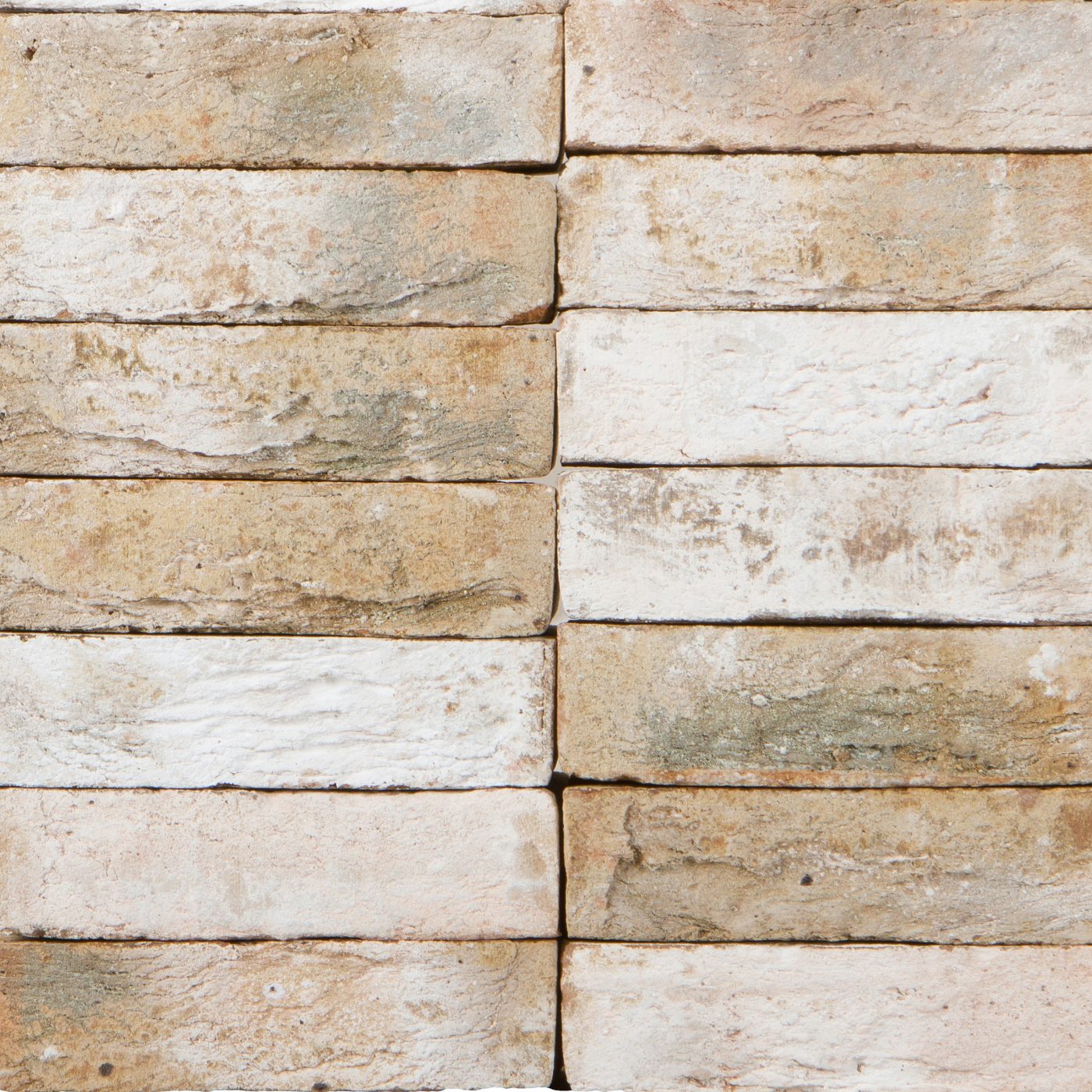 Terca Bronsgroen ceramic bricks from Belgium.