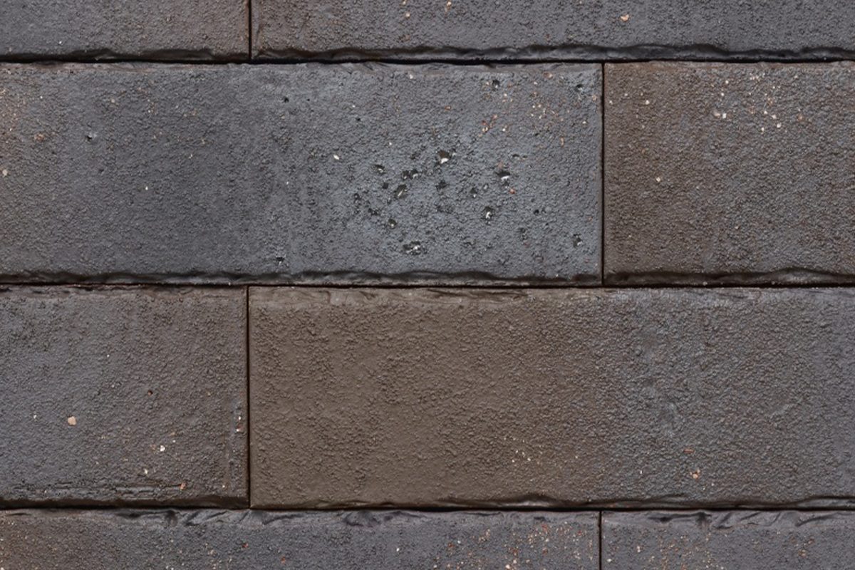 Ammonit Pelaris Pecan Brown slip opeka