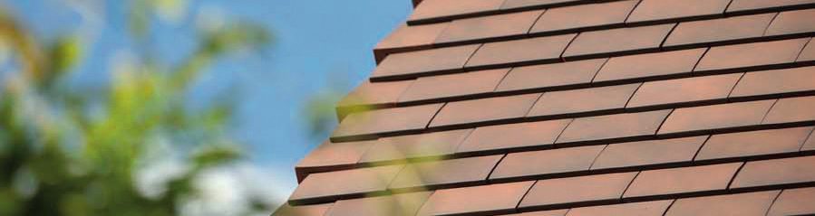 New construction single family in Sint-Amandsberg