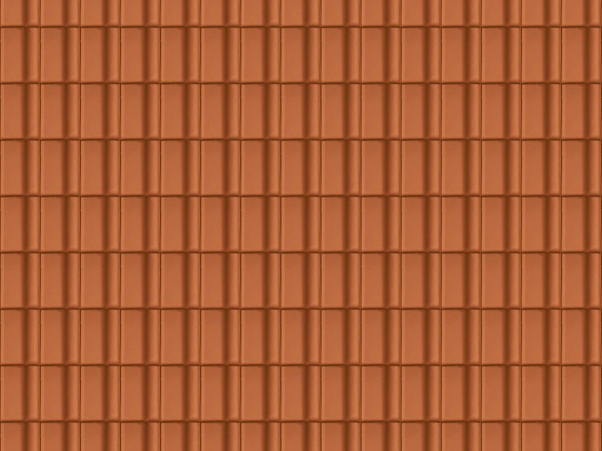 Texture Alegra 10 SE Natuurrood