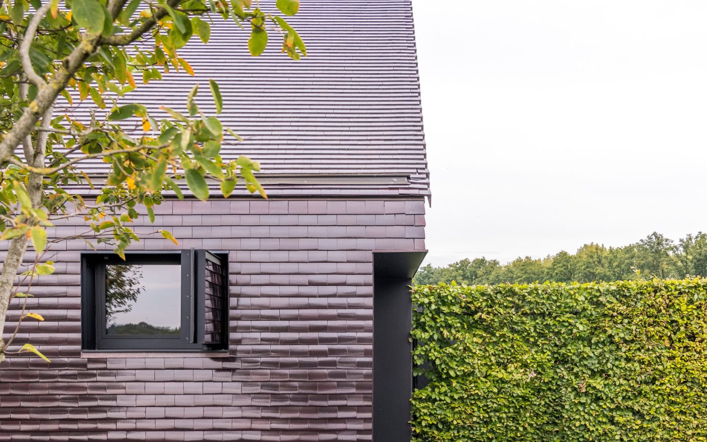 Reference photo new construction single family in Arendonk