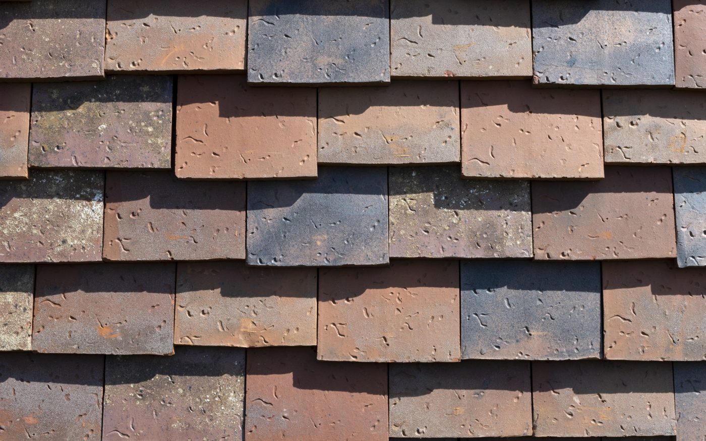 Lantenne-Vertiere School