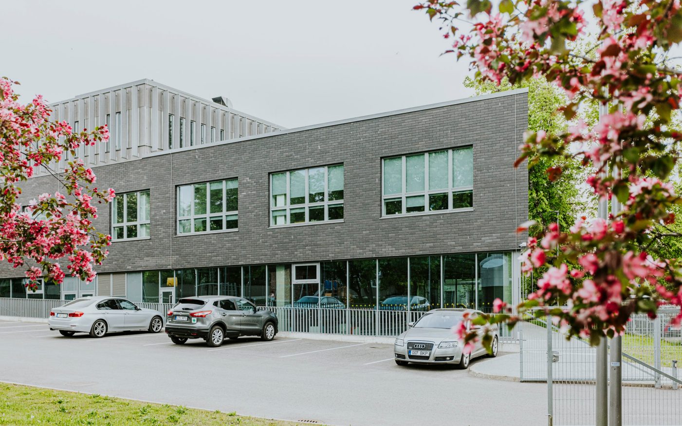 Tondi Elementary School in Tallinn
