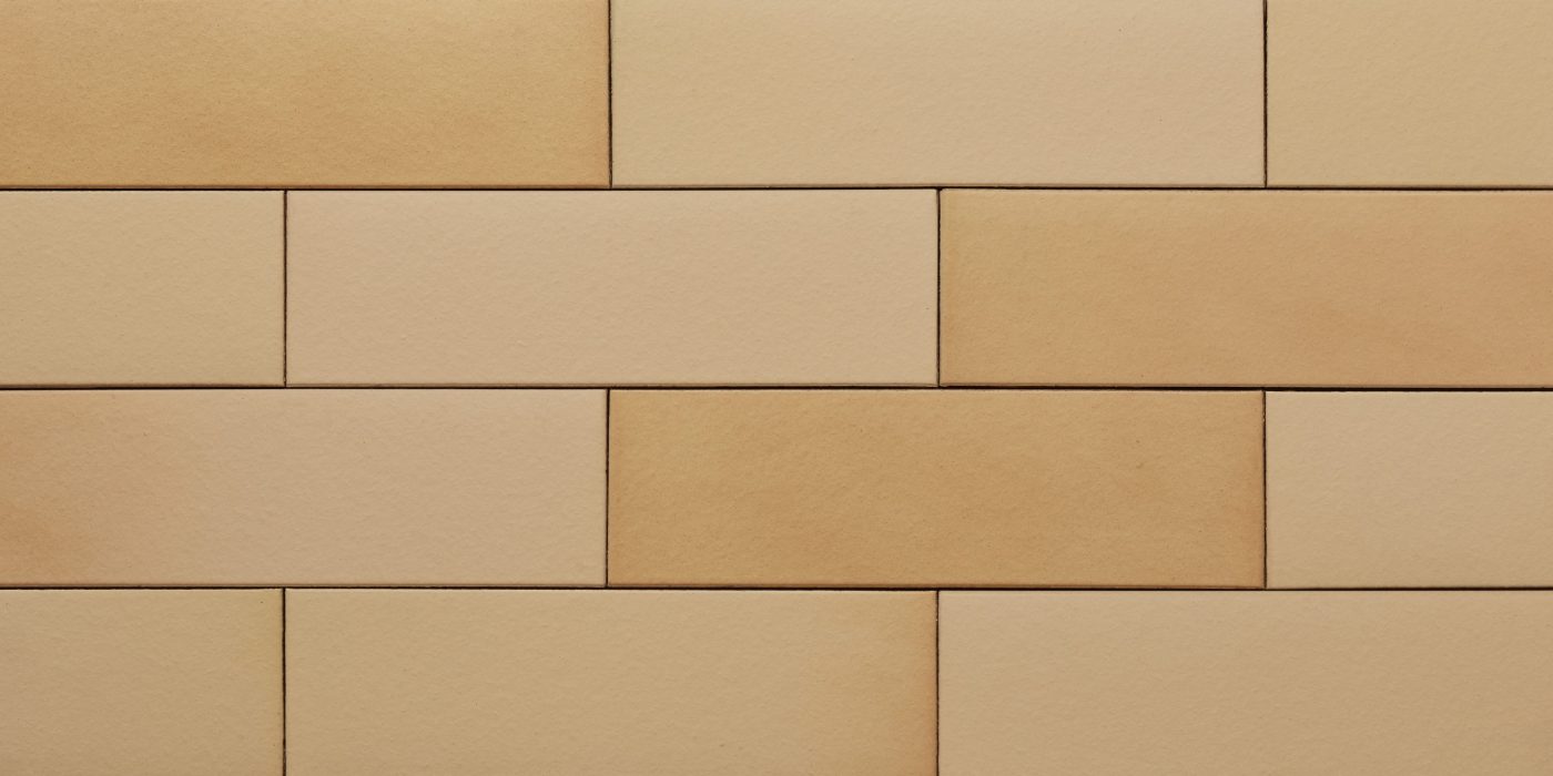 Ammonit Armis Melon Yellow