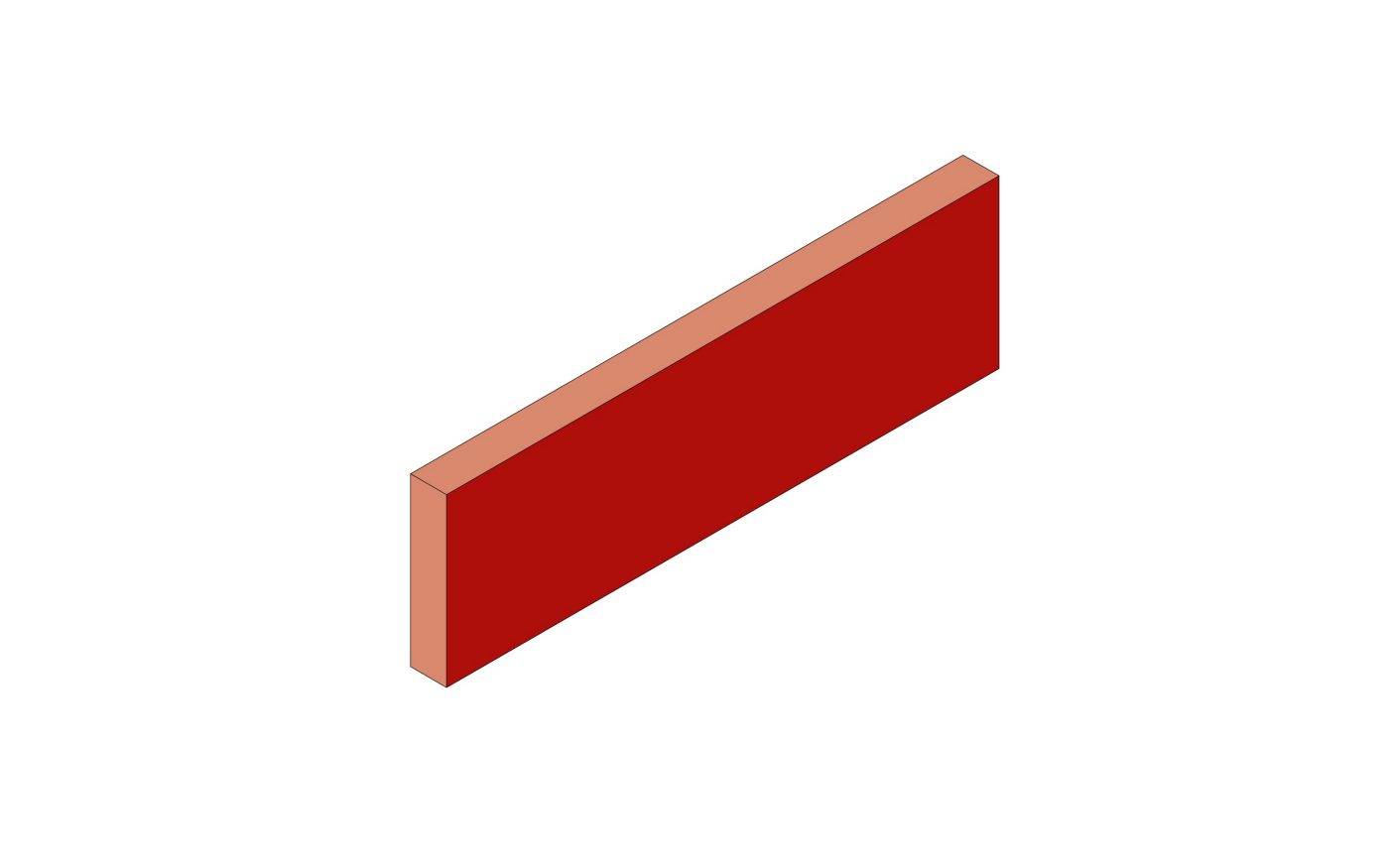 Ammonit Slips 14mm