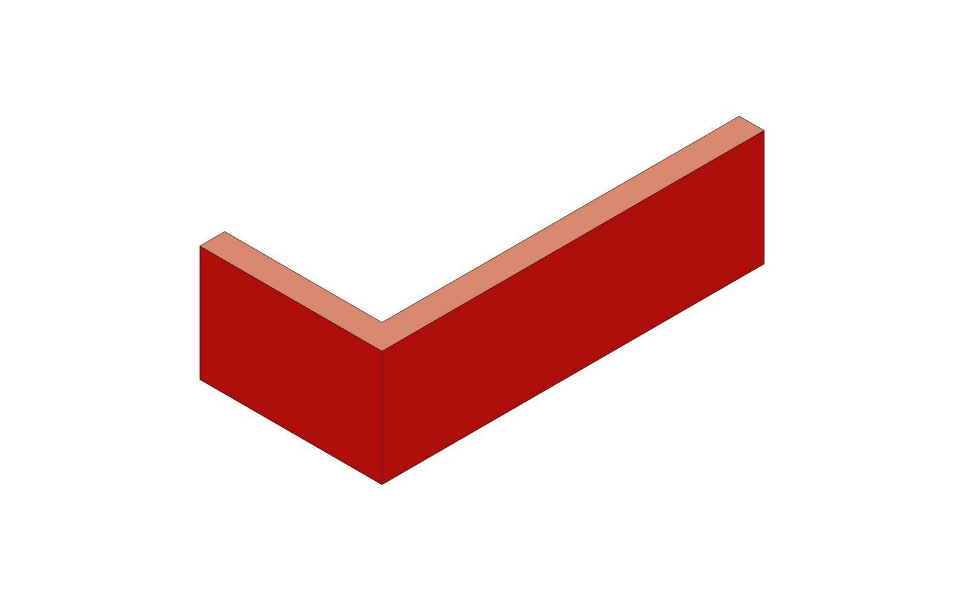 Ammonit Slips 14mm