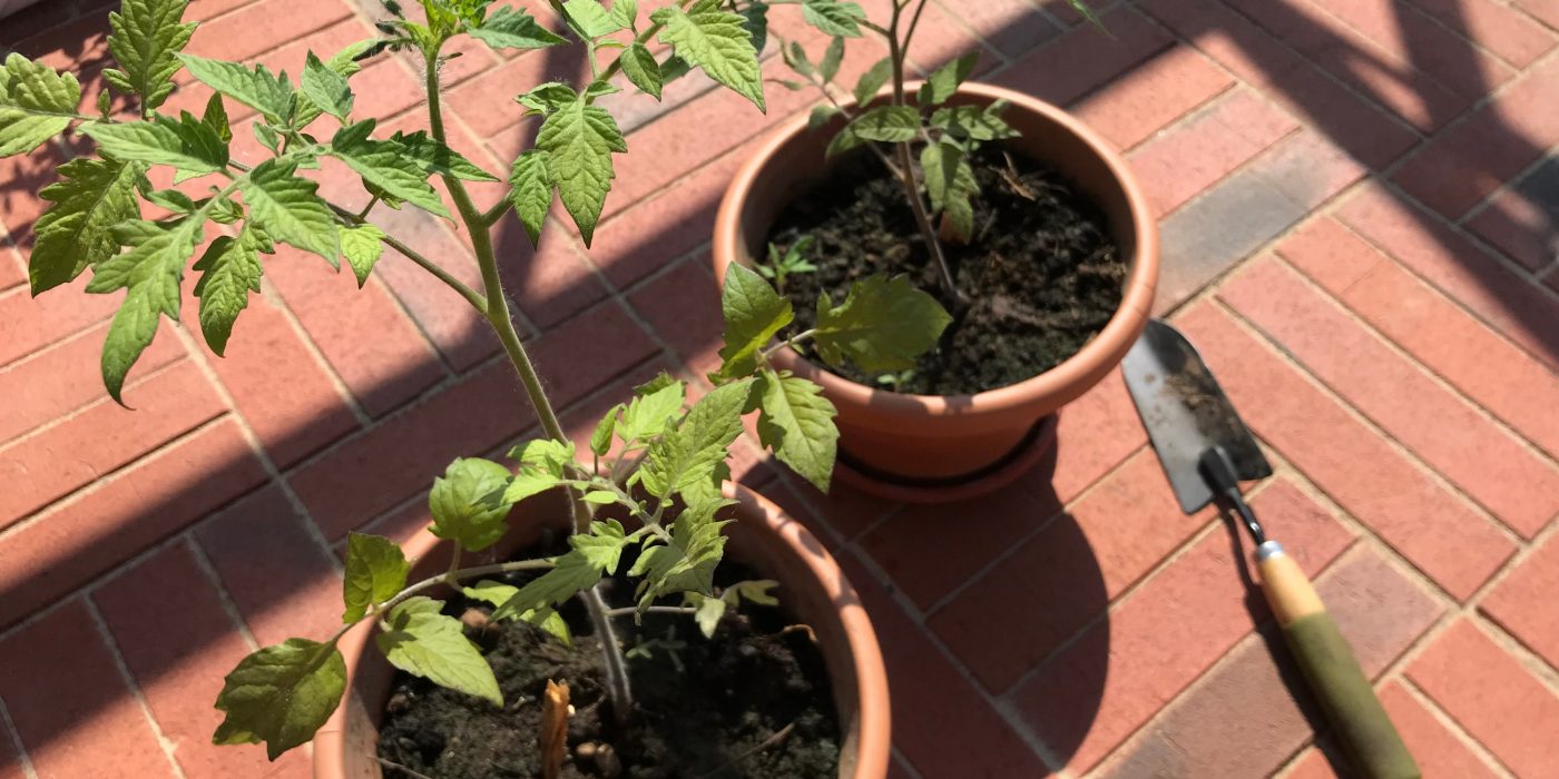 Penter sillutuskivide tootmisel kasutatav tehnoloogia tagab happe-, soola- ja õlikindluse. Tänu omapärasele karedale pealispinnale on sillutisel ka mugav ja ohutu kõndida.