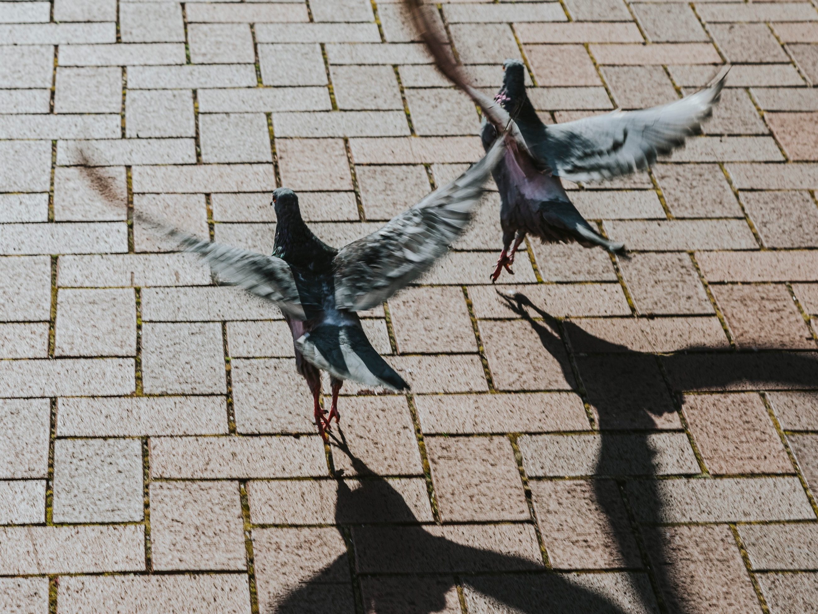 Klinkersillutuskivid ehk keraamilised tänavakivid mõjuvad pilgupüüdjana ja kutsuvad uudistama.