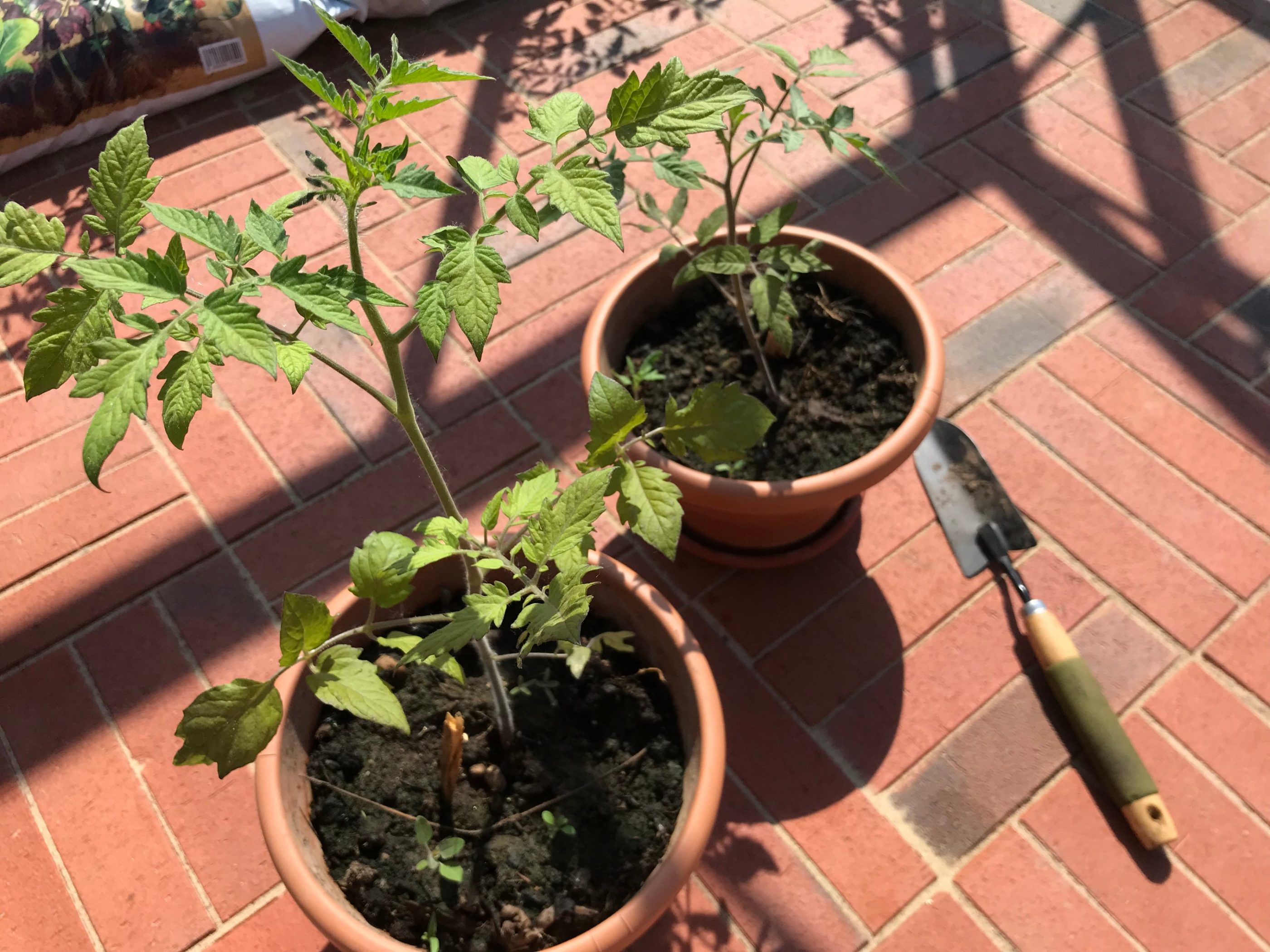 Penter sillutuskivide tootmisel kasutatav tehnoloogia tagab happe-, soola- ja õlikindluse. Tänu omapärasele karedale pealispinnale on sillutisel ka mugav ja ohutu kõndida.