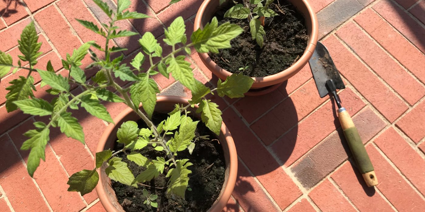 Penter sillutuskivide tootmisel kasutatav tehnoloogia tagab happe-, soola- ja õlikindluse. Tänu omapärasele karedale pealispinnale on sillutisel ka mugav ja ohutu kõndida.