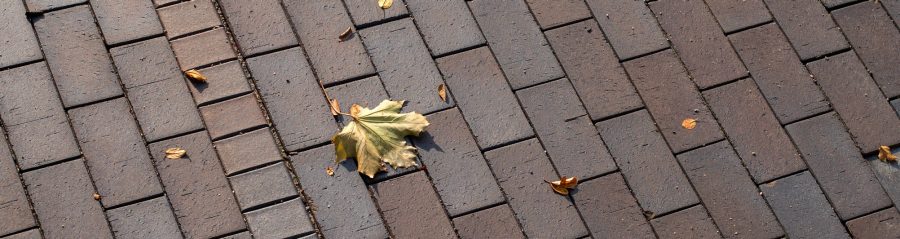 Novo Nordisk, Paver, Bretagne