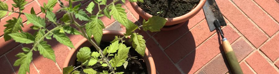 Penter sillutuskivide tootmisel kasutatav tehnoloogia tagab happe-, soola- ja õlikindluse. Tänu omapärasele karedale pealispinnale on sillutisel ka mugav ja ohutu kõndida.