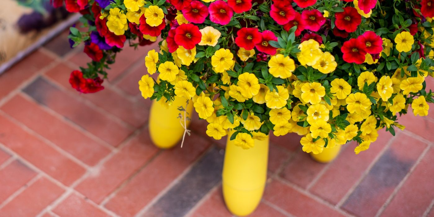 Kasvumaja sillutis on ehitatud parkett-tüüpi klinkersillutuskividest.