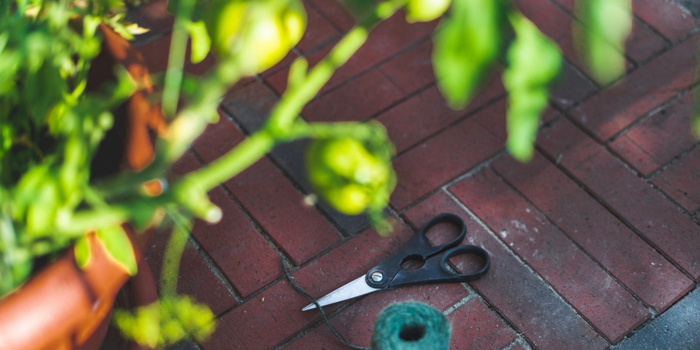 Kasvumaja sillutis on ehitatud parkett-tüüpi klinkersillutuskividest.