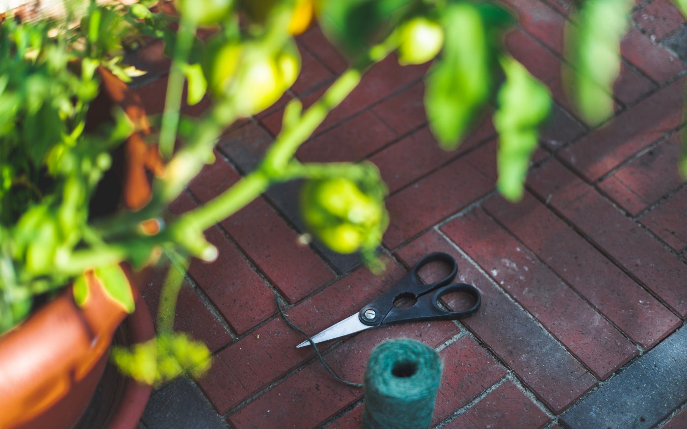 Kasvumaja sillutis on ehitatud parkett-tüüpi klinkersillutuskividest.