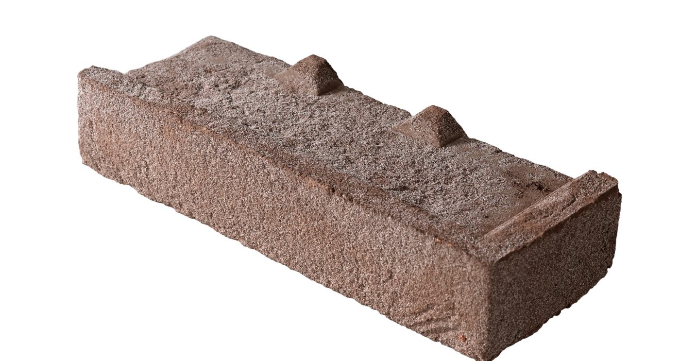 Iluzo Pagus Bruin facing brick
