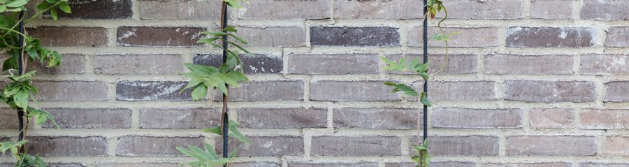 Taani fassaaditellised