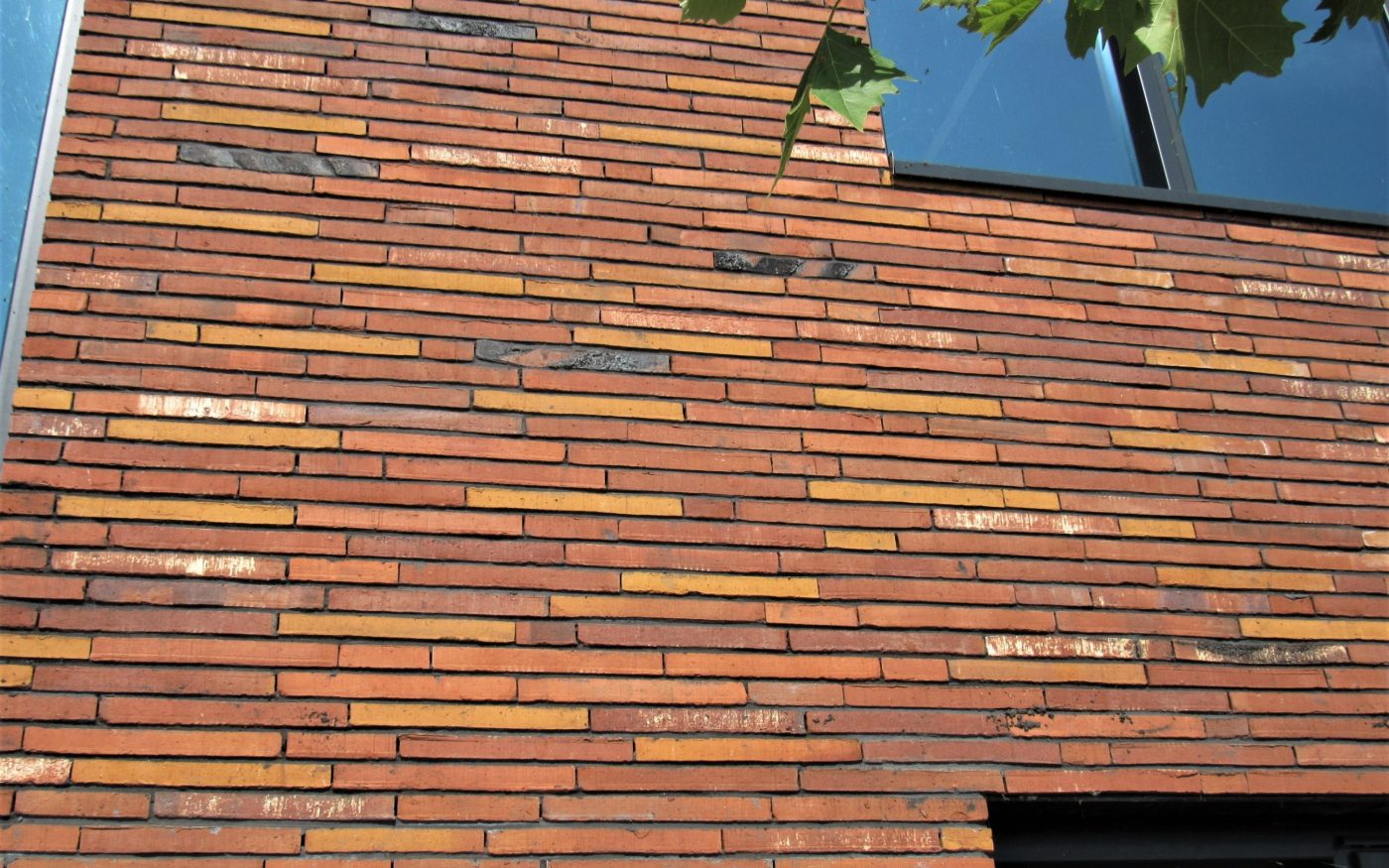 New construction office Efko | Uitwellingerga (Sneek)