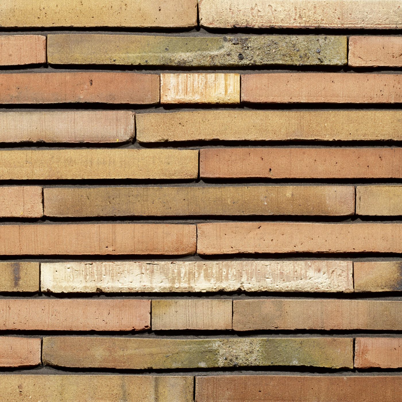 Productshot of the Dignita WS LF400 brick