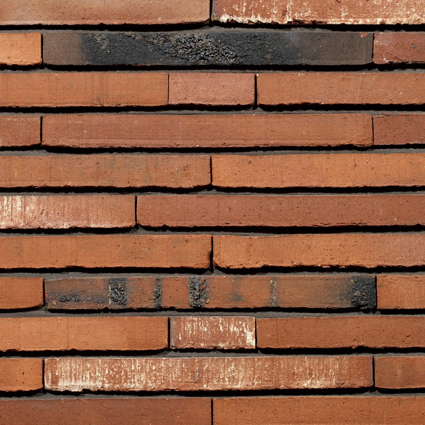 Productshot of the Fortuna WS LF400 brick