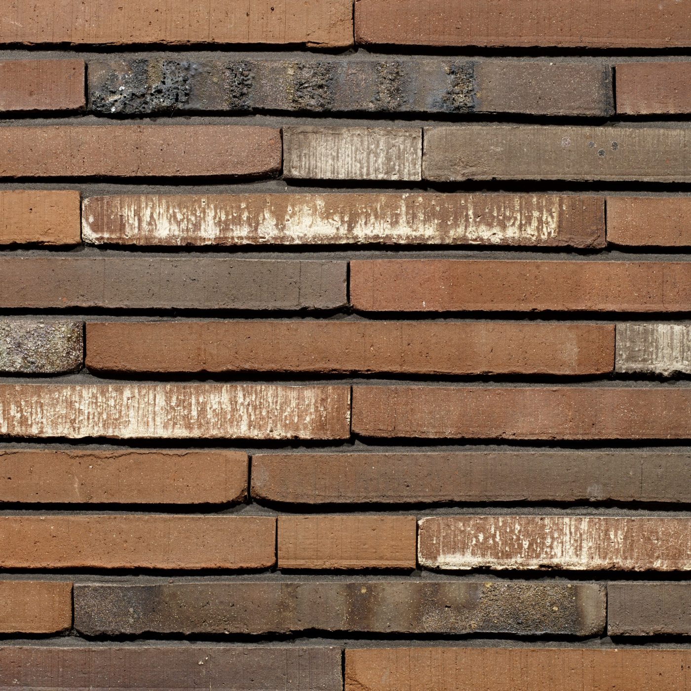 Productshot of the Maestra WS LF400 brick