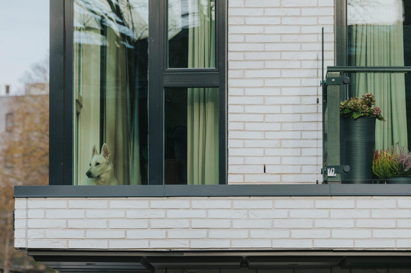 Terca keraamilised tellised