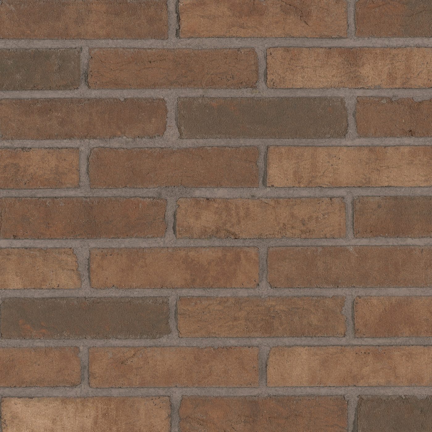 Productshot of the Eifel Brown HV WF Strip 18 mm