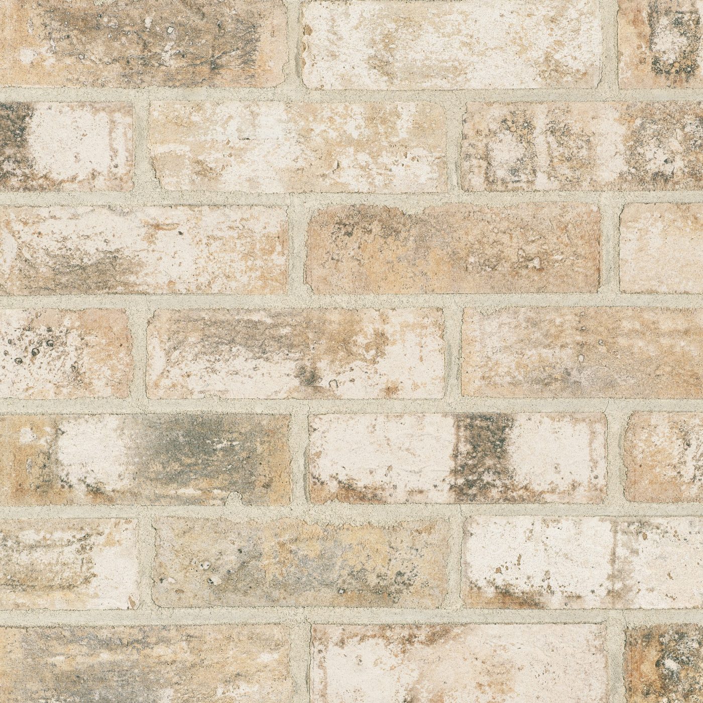 Productshot of the Jura Cream HV EF Strip 18 mm