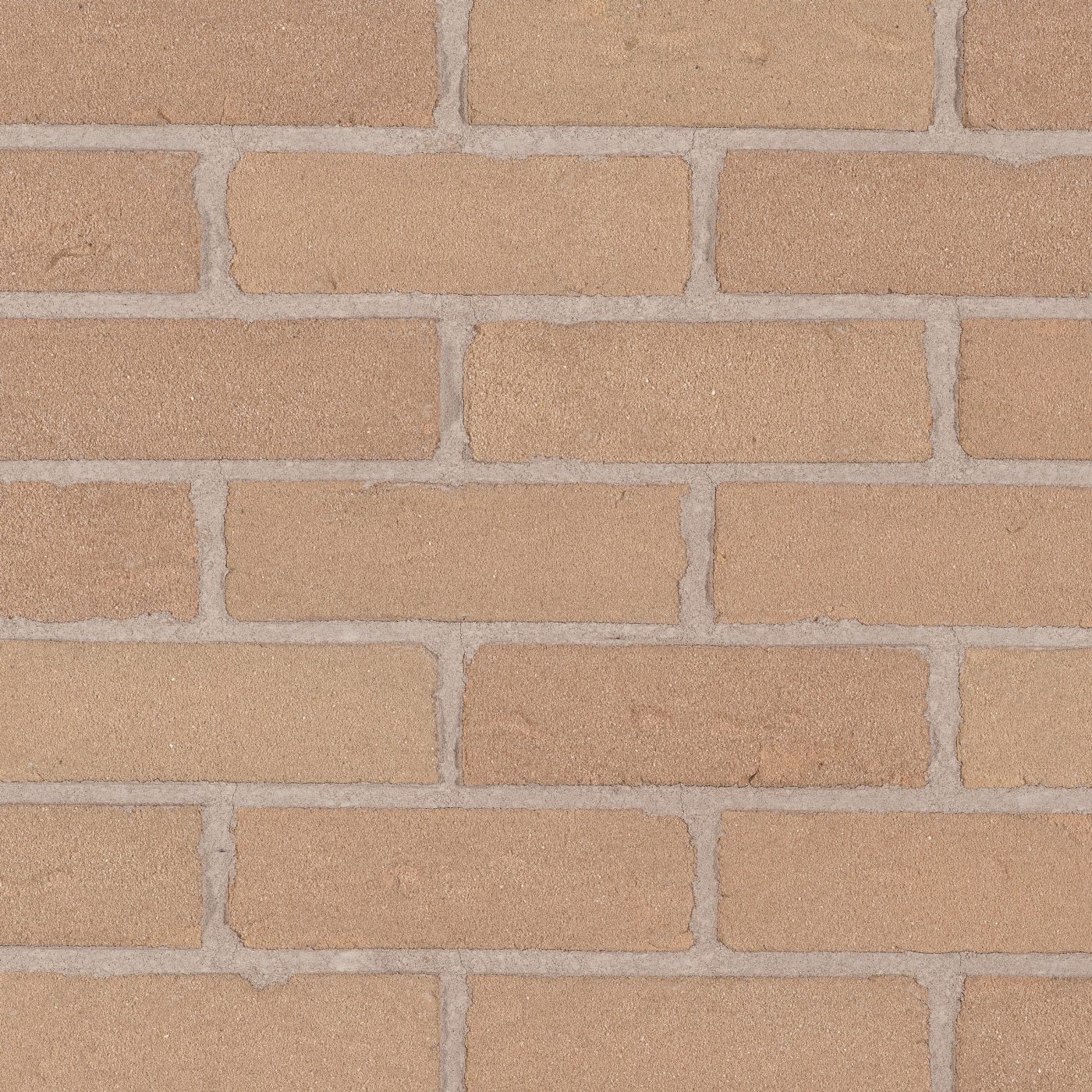 Productshot of the Saxon Beige HV EF Strip 18 mm