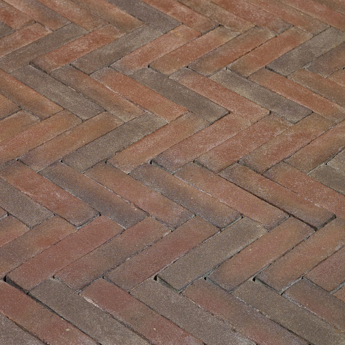 Productshot of the Ravenna WF Kijfwaard Oost