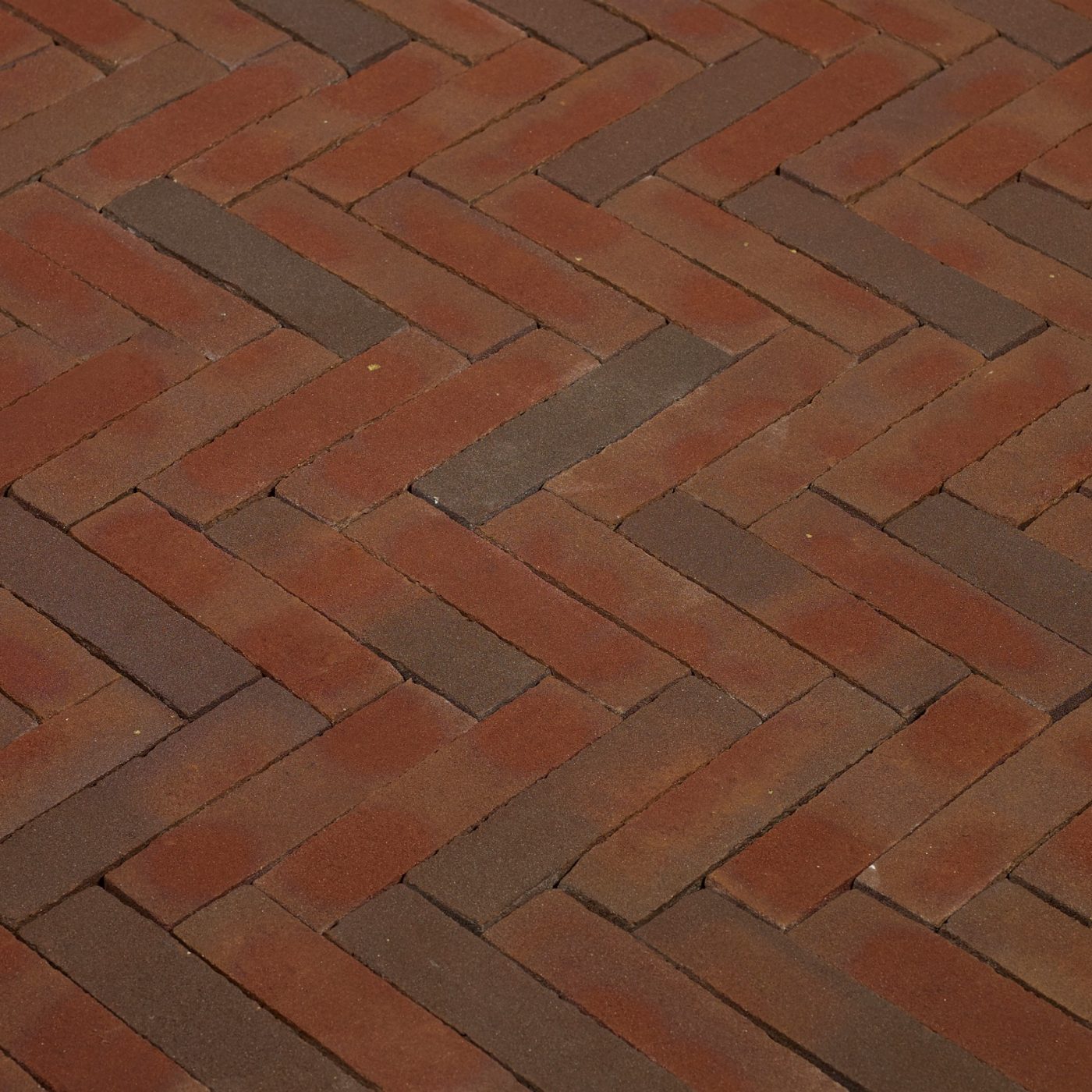 Productshot of the Padova WF Kijfwaard Oost